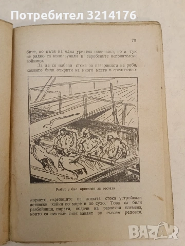 От първата лодка до парахода-град. Кратка история на мореплаването - Владимир Полянов (1947), снимка 6 - Специализирана литература - 54366078
