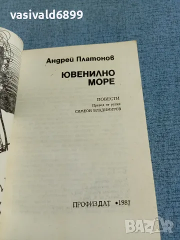 Андрей Платонов - Ювенилно море , снимка 4 - Художествена литература - 55373452