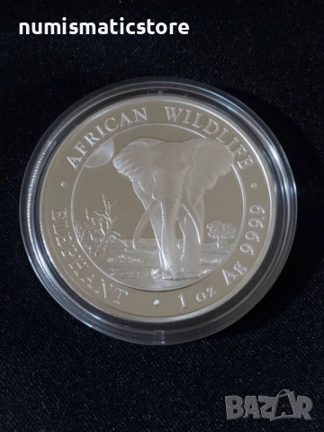 Сомалия 2025 - 100 Шилинга - Слон, 1 OZ - Сребърна монета, 1 унция