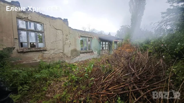 Продавам имот в с.Баячево гр.Търговище, снимка 4 - Къщи - 55510102