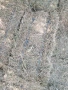 бали люцерна , снимка 3