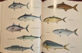 Complete Outdoors Encyclopedia, снимка 17