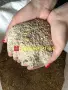 Фуражи,смески,жито,пшеница,ечемик,царевица,слънчоглед,кюспе,крави,телета,агнета,овце,пилета,кокошки., снимка 4