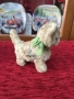 Немски механични играчки, снимка 6