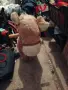 Детска  конче внос от Белгия , снимка 2