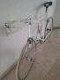 Градски велосипед / Singlespeed Peugeot (Алуминиева рамка) – Размер 56-57 см, снимка 2