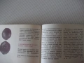 Книга "Страници от историята - Иван Йорданов" - 208 стр., снимка 6