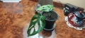 Филодендрон (Philodendron) - Monstera adansonii + още три, снимка 1