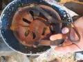 Продавам  каска, снимка 4