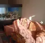Обзаведен 2 стаен апартамент Център до площад Славейков., снимка 6