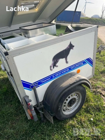 Ремарке за кучета, снимка 4 - Ремаркета - 54315057