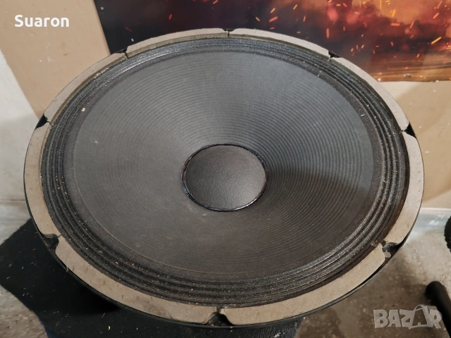 15" инчов говорител