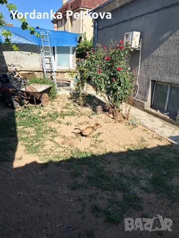 продавам къща клуцохор Сливен , снимка 3 - Къщи - 53981158