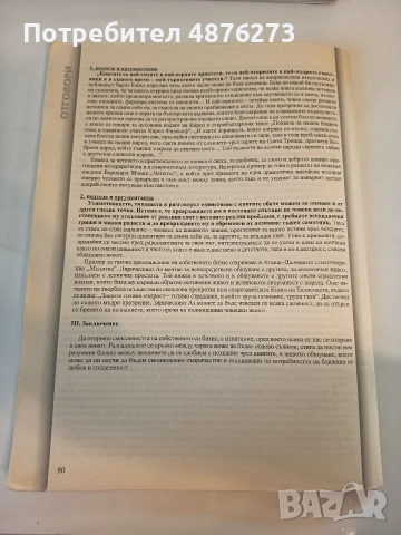 Отговори и примерни планове за интерпретативни съчинения и есета, снимка 2 - Учебници, учебни тетрадки - 55180736