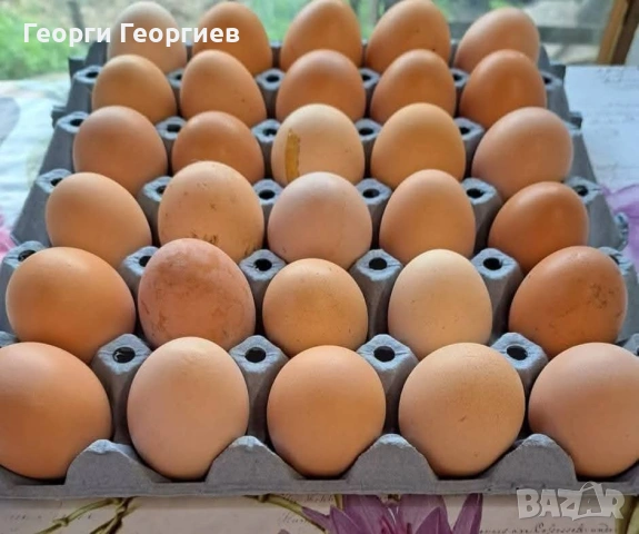 Домашни яйца , снимка 2 - Домашни продукти - 54478107