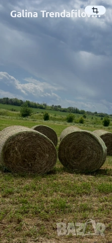 Бали люцерна  със сено,реколта 2026г.Тел. 0895095620