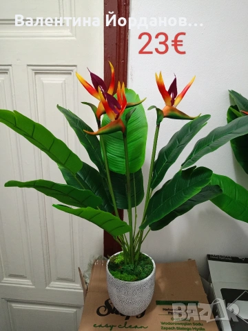 реалистични изкуствени цветя подходящи за декорация на дома, офиса, хотела или заведение , снимка 4 - Декорация за дома - 54008985