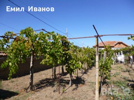 имот в с.Ковачите
