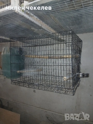 клетка развъдна за жако,амазона, снимка 3 - За птици - 54723986