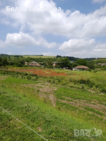 Парцел в с.Кайнарджа, снимка 7 - Парцели - 52271773