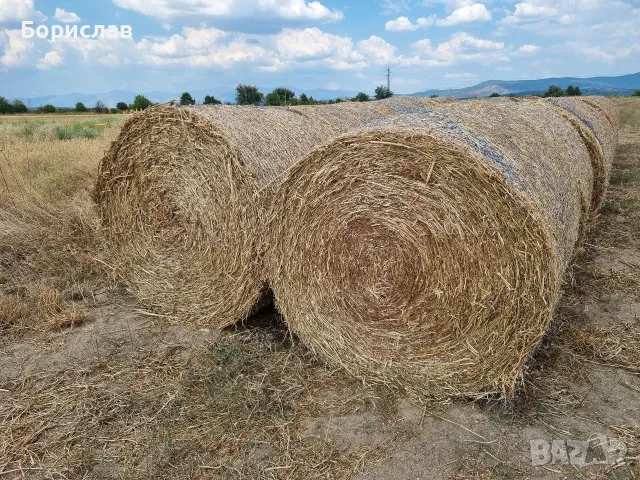 Ролонни бали грах, снимка 2 - За селскостопански - 55570885