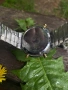 Seiko Moonphase Chronograph 1984, снимка 4