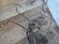 Спирачни тръби топ БМВ525 Е-39 2.5тд 163к.ц.М-пакет 2003 Тоурар автоматик фейслифт, снимка 2