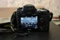 Nikon D7500 + Sigma DC 17-70mm f2.8-4  Macro HSM, снимка 4
