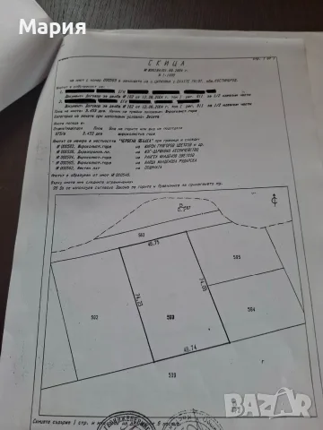 Продава се гора , снимка 4 - Земеделска земя - 55323078