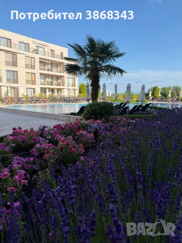 Уютно студио Diamond Beach на първа линия, снимка 13 - Апартаменти - 54963363