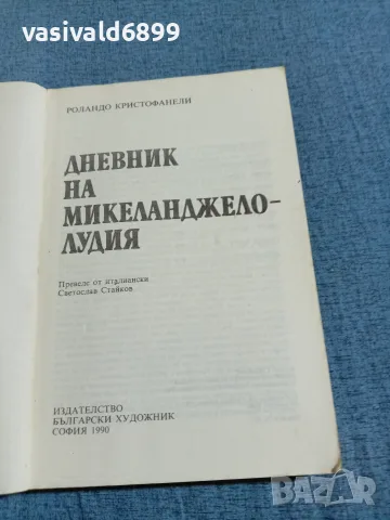 Роландо Кристофанели - Дневник на Микеланджело лудия , снимка 4 - Художествена литература - 55661698