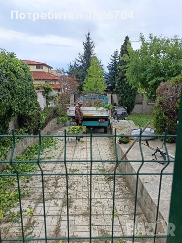косене на градини и подръжка на дворове оформяне на храсти Засаждане на борчета. безплатен оглед , снимка 6 - Градински цветя и растения - 54541460