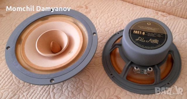 Широколентови говорители 