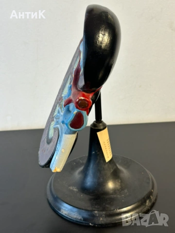 Соц Учебен Анатомичен Модел на Бъбрек, снимка 6 - Антикварни и старинни предмети - 53956401