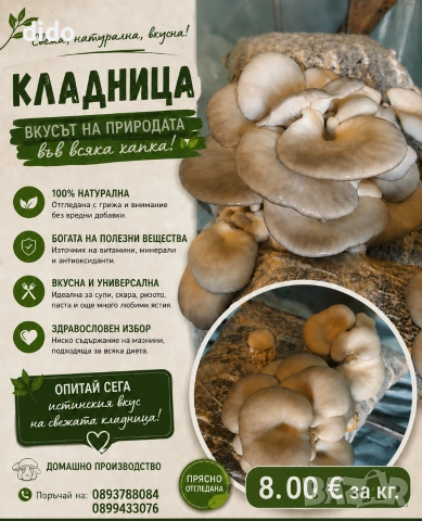 Гъби Кладница от производител 