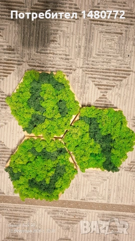 Пано шестоъгълник със скандинавски мъх , снимка 14 - Пана - 52117378