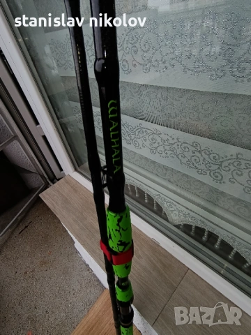 Въдица Delphin WALHALA / 2 части 300cm/950g