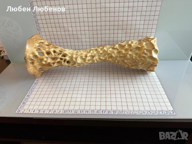Чудесна Ръчно изработена от Художник пластик, крива ажурна Ваза и Свещник