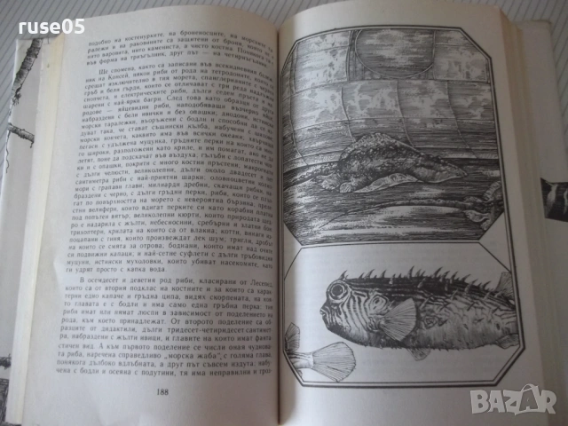 Книга "Капитан Немо - Жул Верн" - 384 стр., снимка 3 - Художествена литература - 54947671