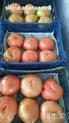 Продавам розов  домат 