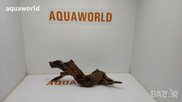 Мангров корен 10