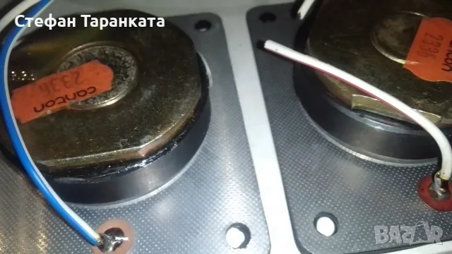 Високо чистотни говорители Canton, снимка 4 - Тонколони - 55591643