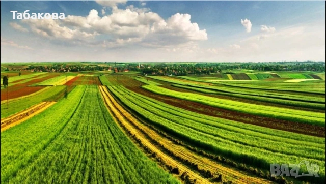 Продавам Земеделска земя община Балчик