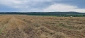 Продавам рулонни бали смес Ечемик, Овес и Пшеница със зърно, снимка 6