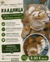 Гъби Кладница от производител , снимка 1