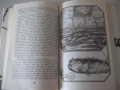 Книга "Капитан Немо - Жул Верн" - 384 стр., снимка 3