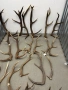 Рога от елен и сръндак, снимка 5