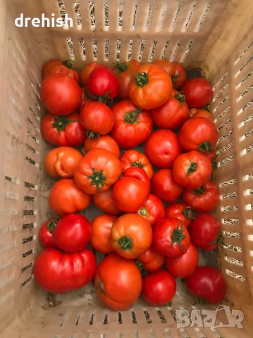 Домашни домати за консерва, снимка 3 - Домашни продукти - 55442116