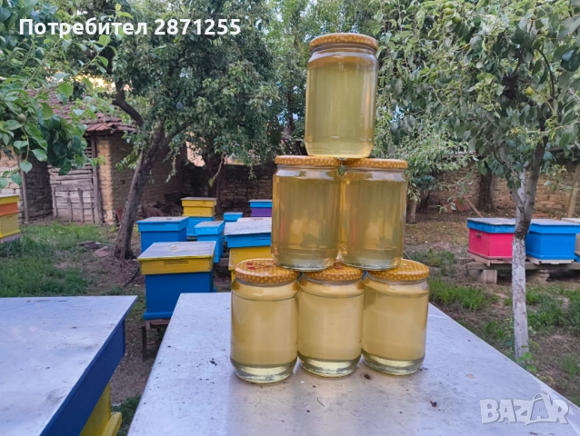 Пчелен мед сезон 2026г, снимка 3 - Домашни продукти - 50262596