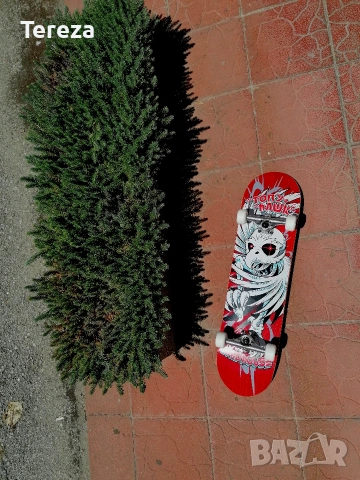 Скейтборд Birdhouse Tony Hawk stage 3